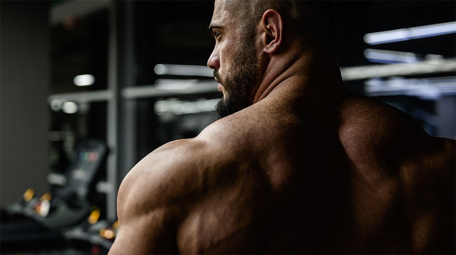 Bild på en mans rygg. Bild på en mans rygg.